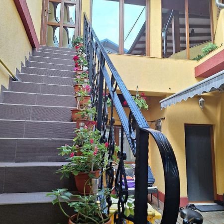 Vila Trandafir 康斯坦察 外观 照片