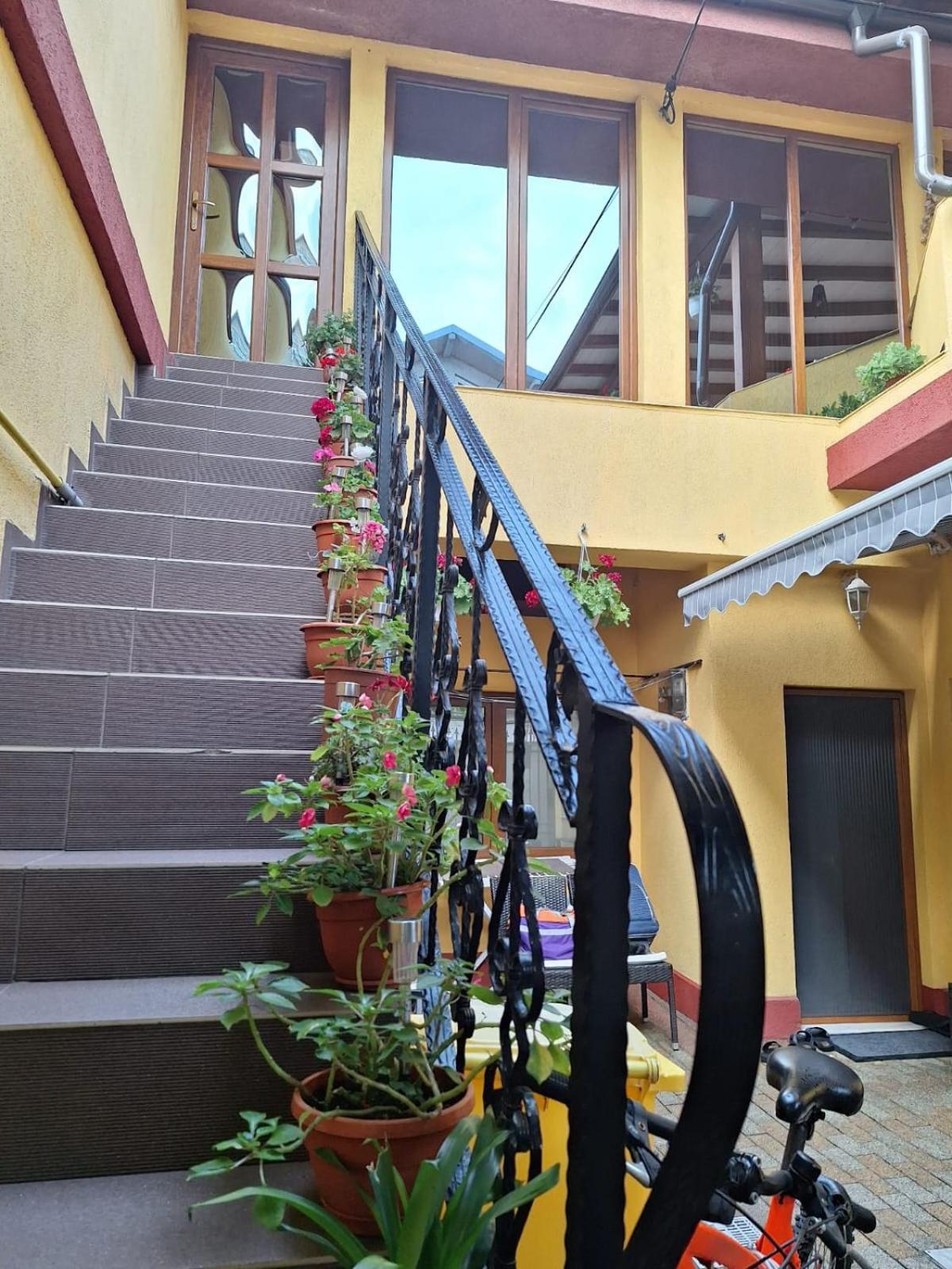 Vila Trandafir 康斯坦察 外观 照片